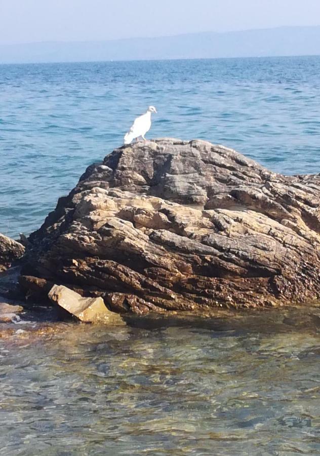 Apartmani Antonia Nakic -Stobrec Split Bagian luar foto
